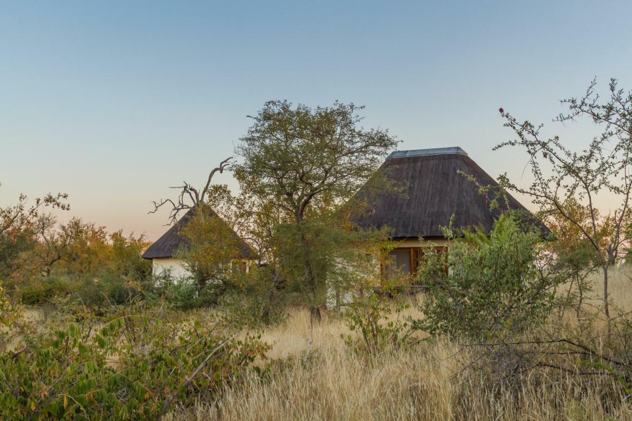 Mbizi Bush Lodge Grietjie Game Reserve Exterior foto