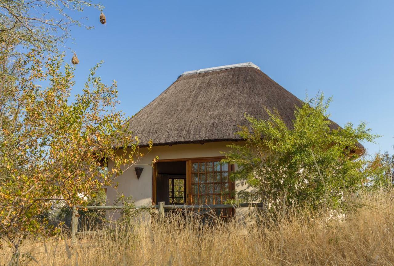 Mbizi Bush Lodge Grietjie Game Reserve Exterior foto